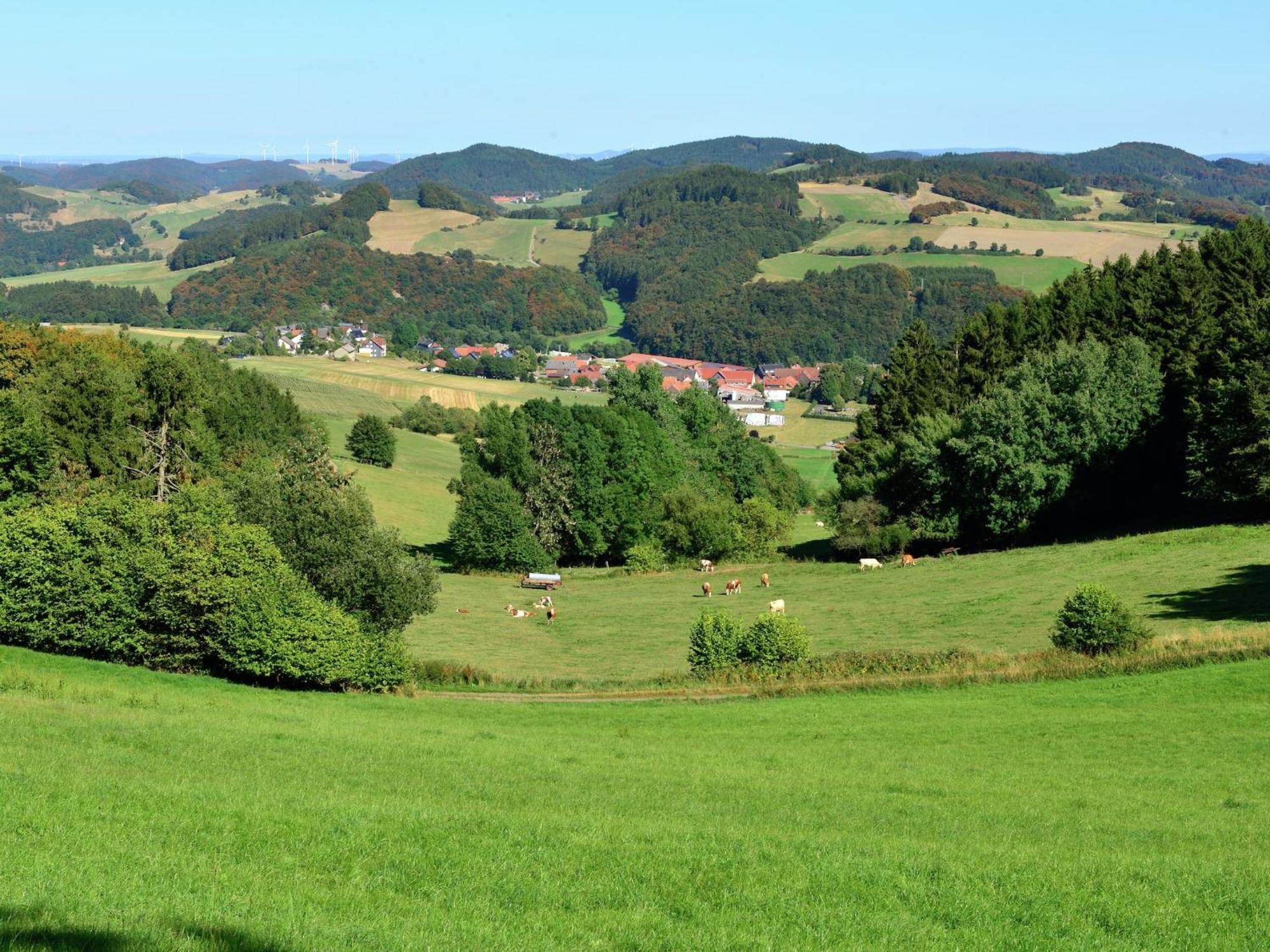 Quaint Apartment In Eimelrod Near Lake And Water Sports Willingen  Exteriér fotografie